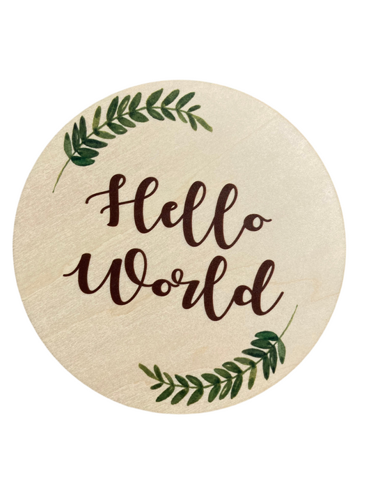 Hello World Birth Disc (large)